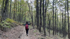 ПВД-2024 Поход на Партизанский приют из Планческой Щели