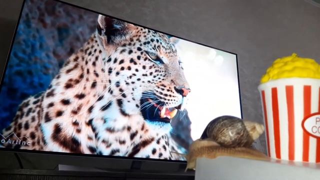 Ох уж этот леопард смотреть онлайн