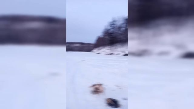 Зимняя рыбалка.