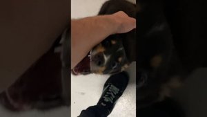 Частицы звёздной пыли / Видео длиною в бесконечность / Посмотрите на свои запястья