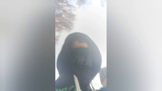 погнали погуляем