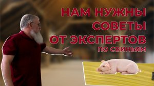 Что лучше для обогрева поросят? Нужен совет экспертов!