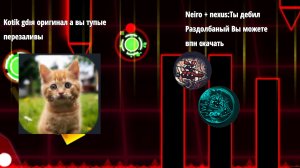 разоблачение котика ГД