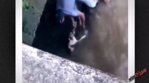 Он упал с моста и держался из последних сил в ожидании смерти...