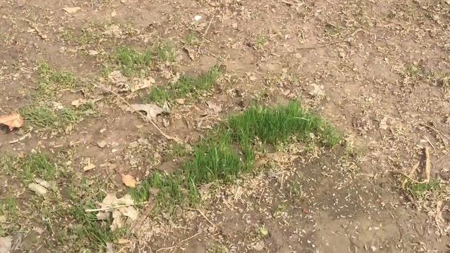 Update Titan RX смотреть онлайн