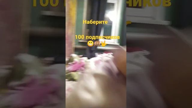 Капибара лучшая😁😁😁😁🤟 смотреть онлайн