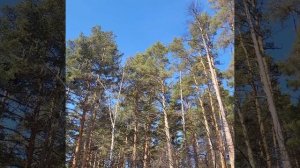 #ВЕСНА #2024 #МАРТ #ВСТРЕЧАЙ