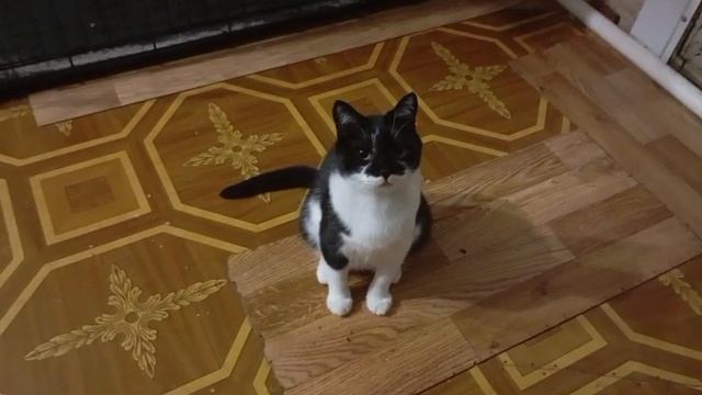 1000125175.mp4