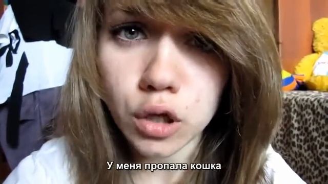 У меня пропала кошка. смотреть онлайн