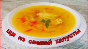 Щи из свежей капусты с курицей Простой и вкусный рецепт