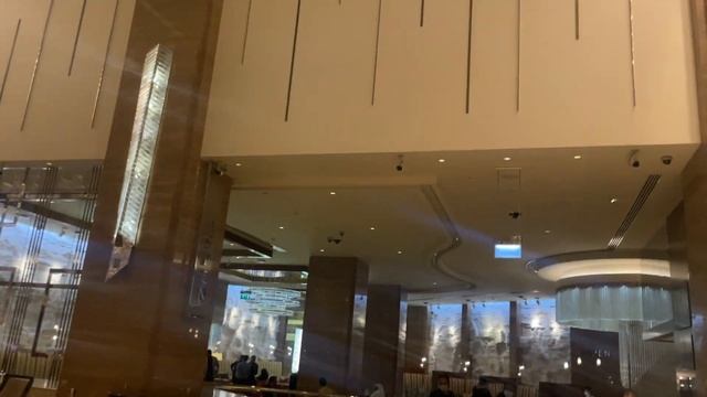 DUBAI WEEKLY VLOG 4 | SHOPPING HAUL, MIRACLE GARDEN, 25H HOTEL