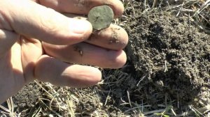 Поиск монет. Карельский перешеек. Март 2025 года.