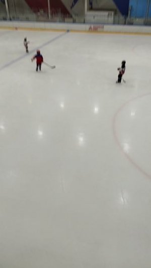 хоккей
