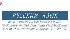 6 класс - Русский язык - Виды языковых норм русского языка. Правильное употребление существительных
