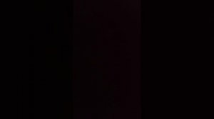 бокс для лизы