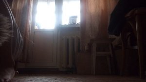 животницы 7 серия:Лев оживил всех