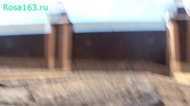 Автополив растений. Шланг капельного полива
