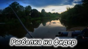 Рыбалка на фидер в 2024 году! Сидим с другом и ловим дрянь! Река в своей красе, а коморы в разгаре.