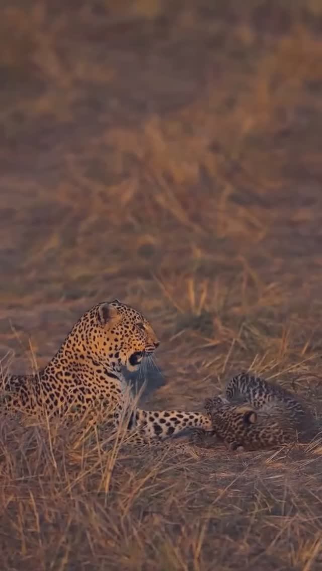 ❤️❤️❤️ Доброго дня!!! ❤️❤️❤️ смотреть онлайн