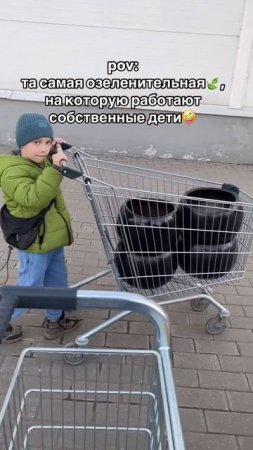 #фитодизайн #комнатныерастения #озеленение