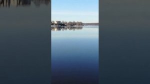 #4071 /27-03-25 г./ Нева с берега Усть - Ижоры...