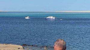 СКР возбудил уголовное дело после гибели россиян при крушении батискафа в Египте