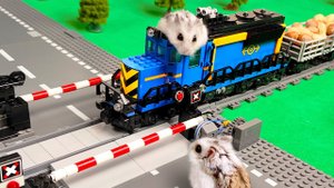 ПРИКЛЮЧЕНИЯ ХОМЯЧКА