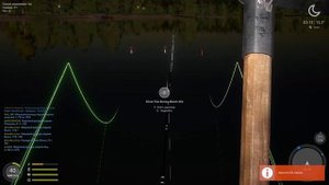 Russian Fishing 4. Ловим карпа на матчи. Янтарное.