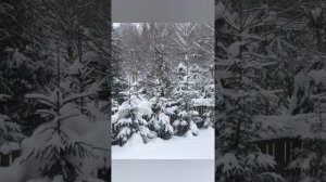 СВОЙ ПУТЬ   
НОВИНКА