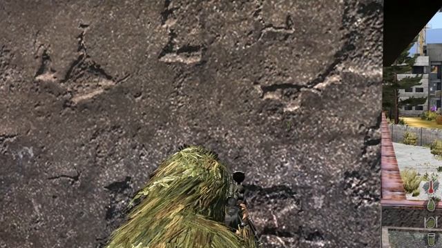 Arma 2 DayZ sniper