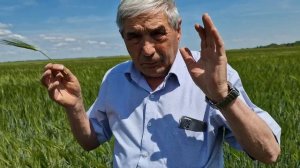 Ячмень Тевкеч, Эндан, Камашевский у Камиля Бургановича