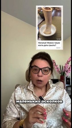 Можно ли давать собакам кости?🦴