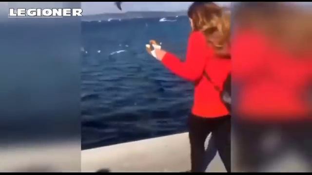 ЭТО НАДО ВИДЕТЬ   САМЫЕ ЛУЧШИЕ ПРИКОЛЫ 2018   LEGIONER смотреть онлайн