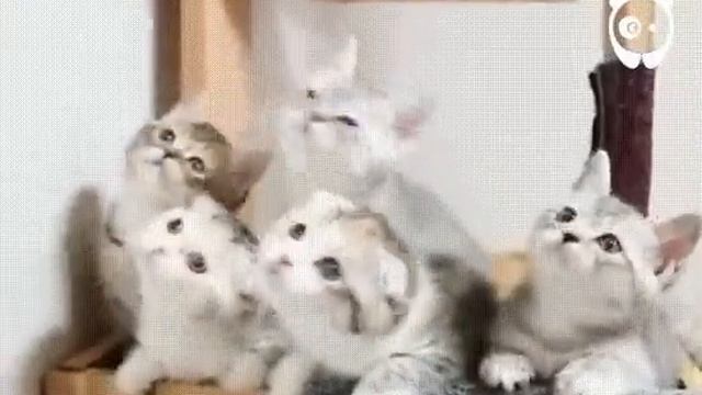 Теперь ты знаешь, как выглядит идеальная синхронность))