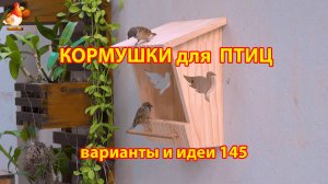 Кормушка для птиц своими руками как сделать пошагово  (145) 🪚🪛🔨 Идеи для дачи и сада❣️