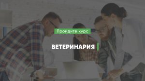 Дистанционный курс обучения «Ветеринария»