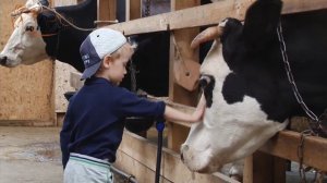 деревня Рыжево.mp4