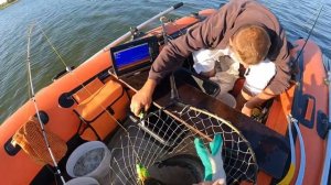 РЫБАЛКА НА СОМА! ВЫТАЩИЛА СОМА !