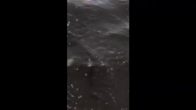 В Челябинске сильный ливень затопил город