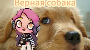 Верная собака. 1 серия.