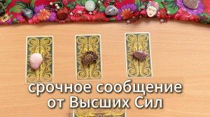 Срочное сообщение от Высших Сил! Гадание таро онлайн