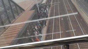 Дерево упало на электричку в Подмосковье