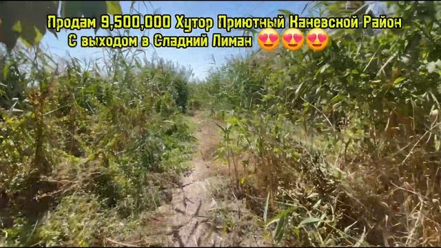 ПРОДАМ ДОМ 9,500,000 С ВЫХОДОМ В СЛАДКИЙ ЛИМАН, 89186922458