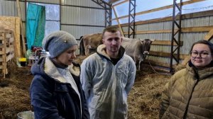 Осеменение наших буренок. Покрыли Костромских коров, но все пошло не по плану.
