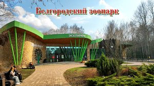 Белгород. Экскурсия по зоопарку. Зоопарк входит в ТОП лучших достопримечательностей города.