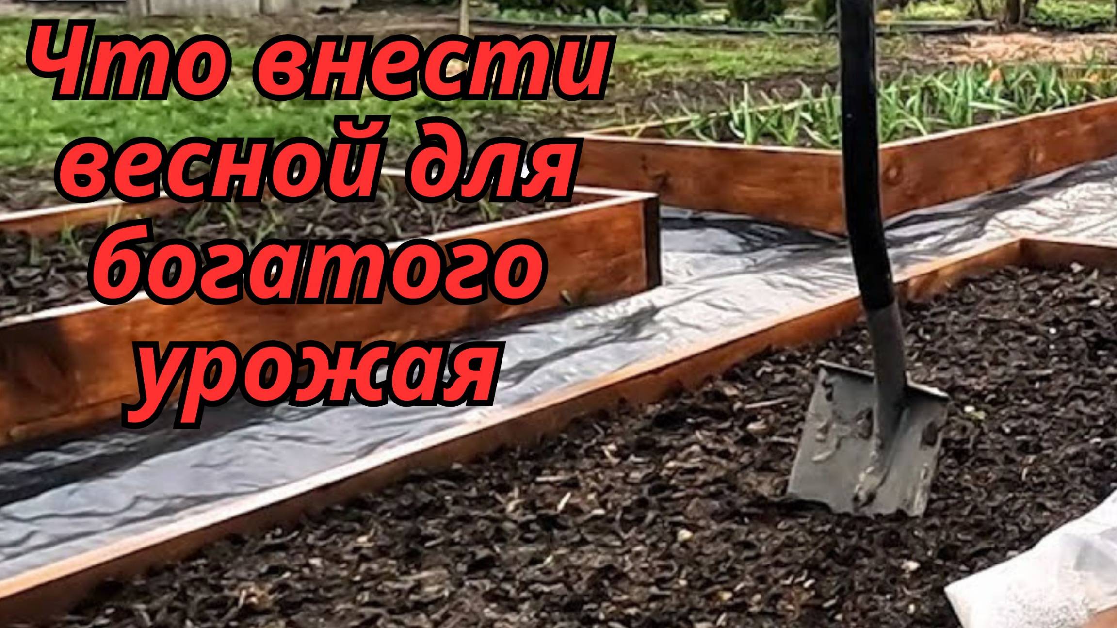 🌱 Что добавить в почву весной? Улучшаем плодородие перед посадкой!
