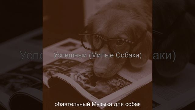 Видения (Спящие собаки) смотреть онлайн