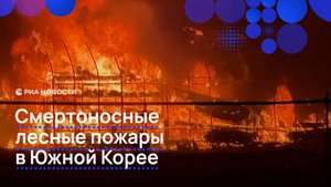 Смертоносные лесные пожары в Южной Корее