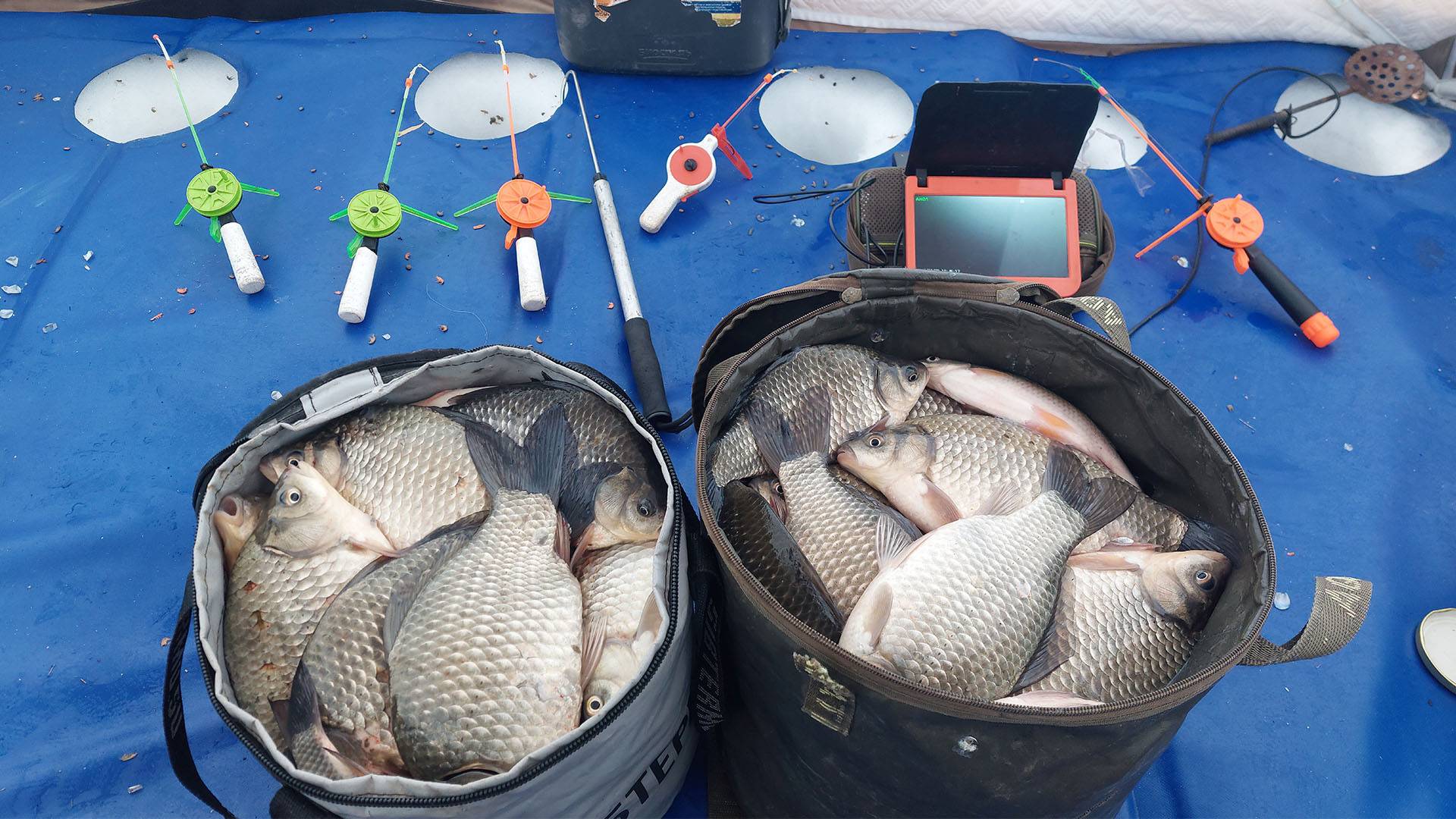 Поставил палатку на клевое место! Ночью рыбы просто кишило! смотреть онлайн