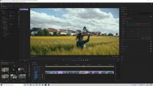 How I Color Grade C-log3 (canon R5) in Adobe Premiere PRO